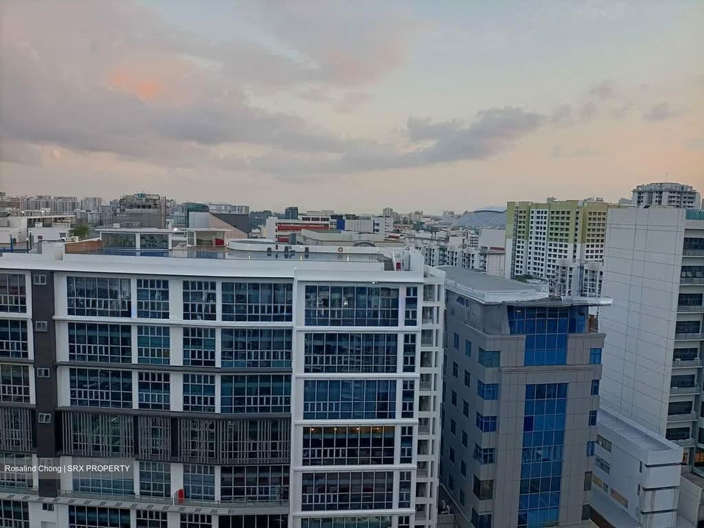 Sims Urban Oasis (D14), Condominium #552340831